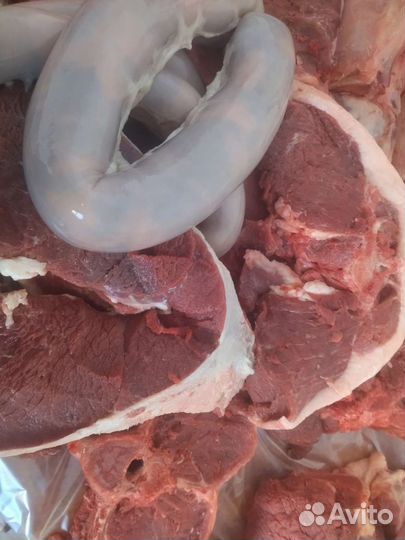 Продам мясо конина