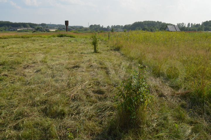 Участок 25 сот. (ИЖС)