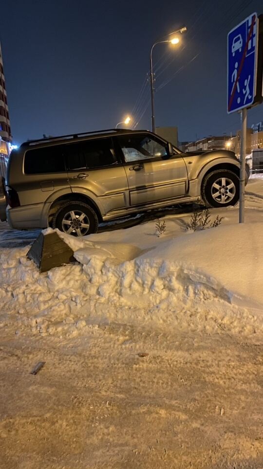 Mitsubishi Pajero: фото владельца