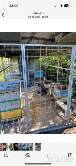 Пчелоприцеп