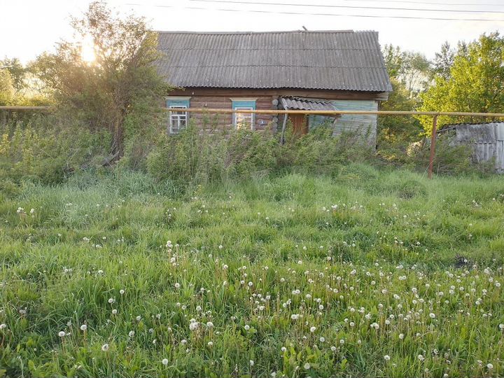 Участок 24 сот. (СНТ, ДНП)