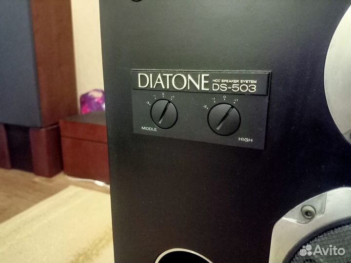 Колонки Diatone DS-503