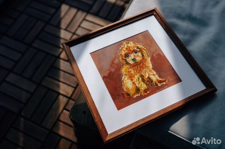 Щенок Мальтипу в добрые руки (картина, акварель)