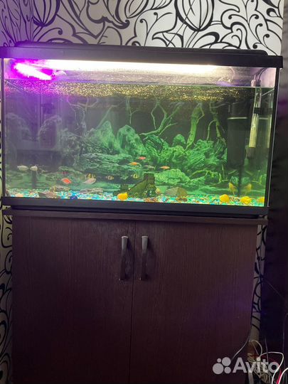 Аквариум