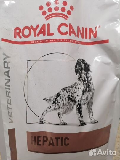 Корм для собак