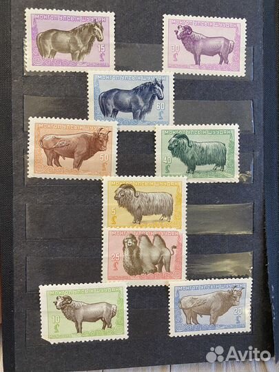Марки Монголия «Домашние животные», 1958г