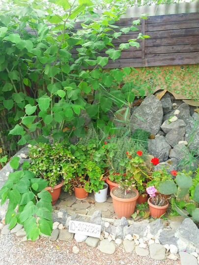 Дом 100 м² на участке 3 сот.