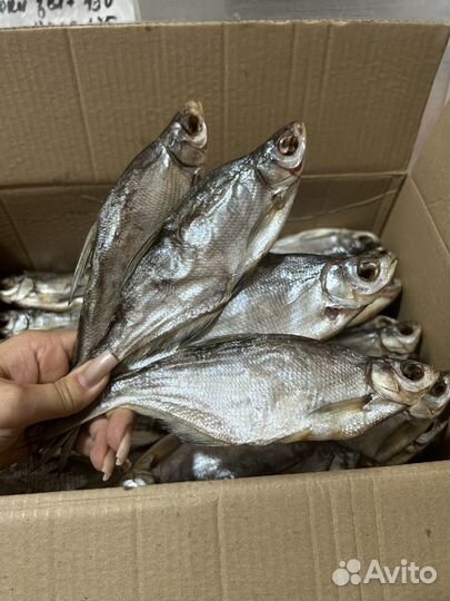 Астраханская вяленая рыбка