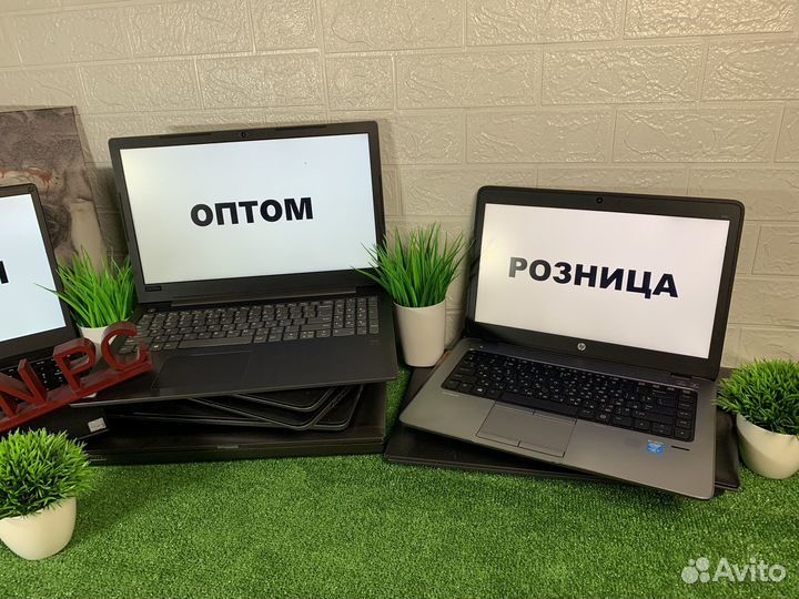 Ноутбуки оптом Lenovo / Dell / Asus / HP