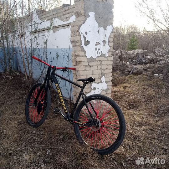 Forward sporting xx29d 2.0 disc