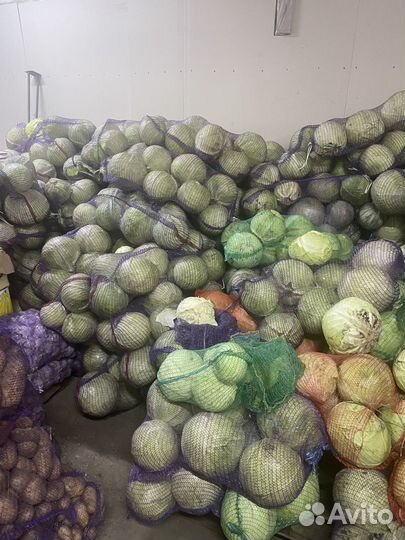 Картофель, лук, морковка, капуста,Свекла