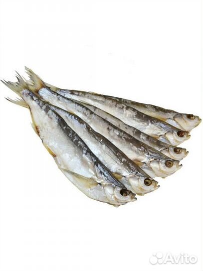 Волжская рыбка