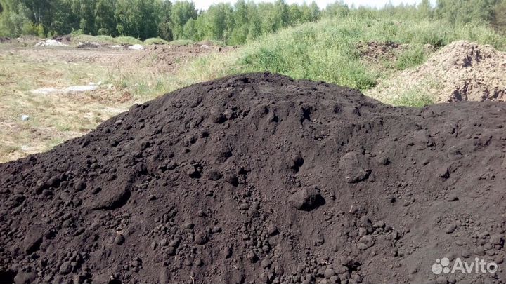 Чернозём