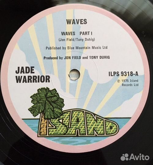 Прогрессив рок jade warriors, PFM