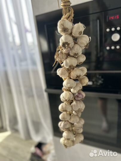 Чеснок на семена