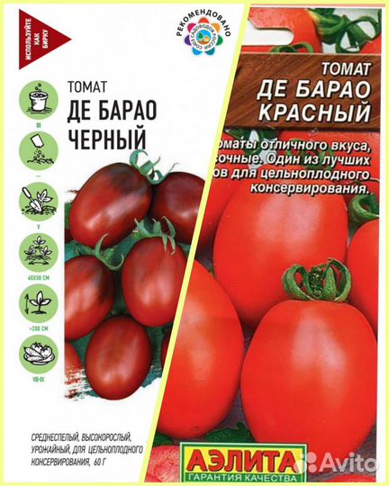 Рассада помидоров томатов