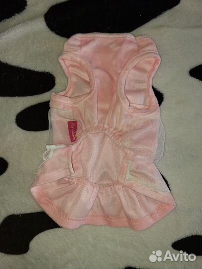 Одежда для собак