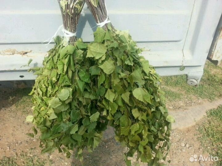 Банные веники