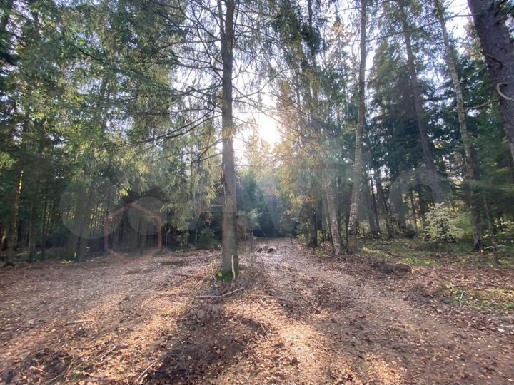 Участок 10 сот. (ИЖС)