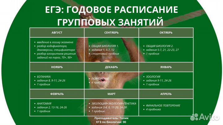 Репетитор ОГЭ/ЕГЭ по химии и биологии 2025