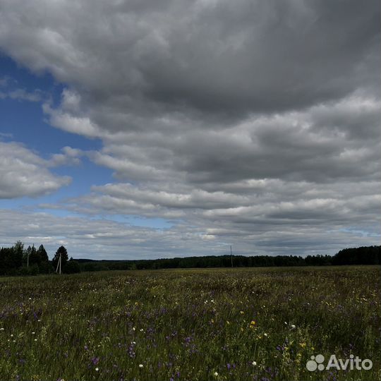 Животноводческая ферма продаю