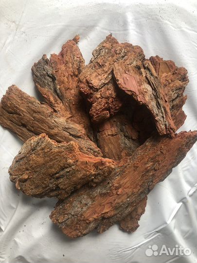 Кора лиственницы и сосны