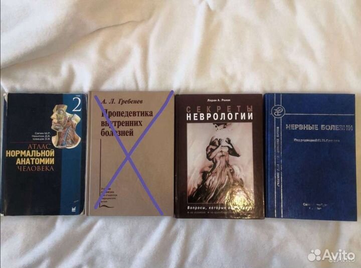 Анатомия сапин, неврология