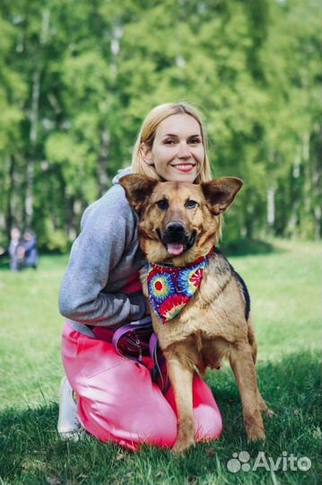 Красавица Забава в поисках дома