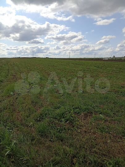 Участок 35 сот. (ИЖС)