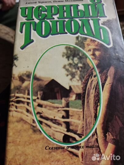 Чёрный тополь сказание о людях тайги