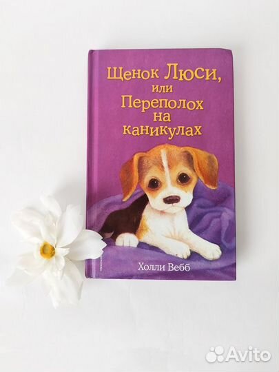Детские книги Холли Вебб про собак про кошек