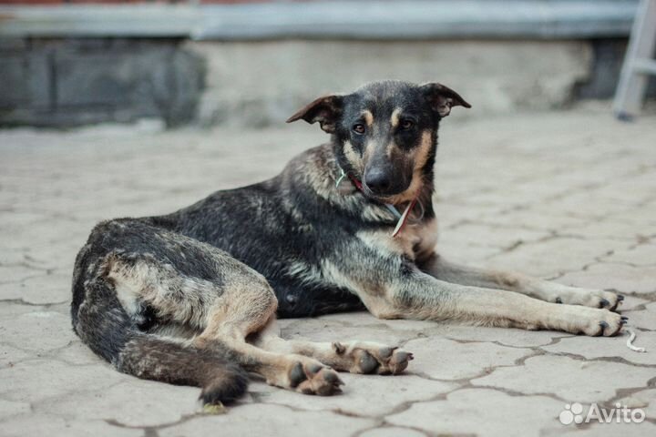 Завтра ждет улица