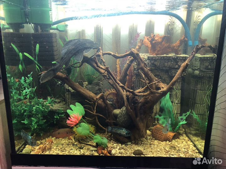 Украшение для аквариума