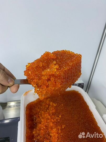 Икра красная вылоа июль 2023 год