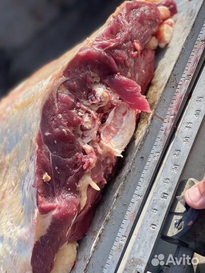 Мясо говядина(телятина)