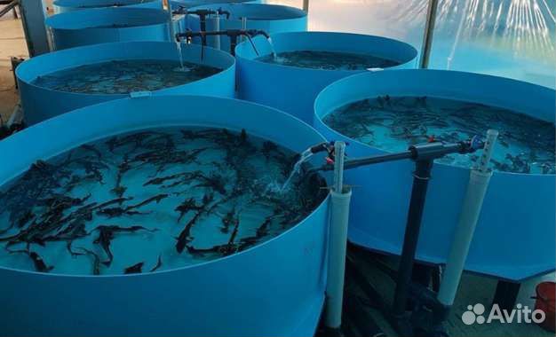 Бассейны для узв