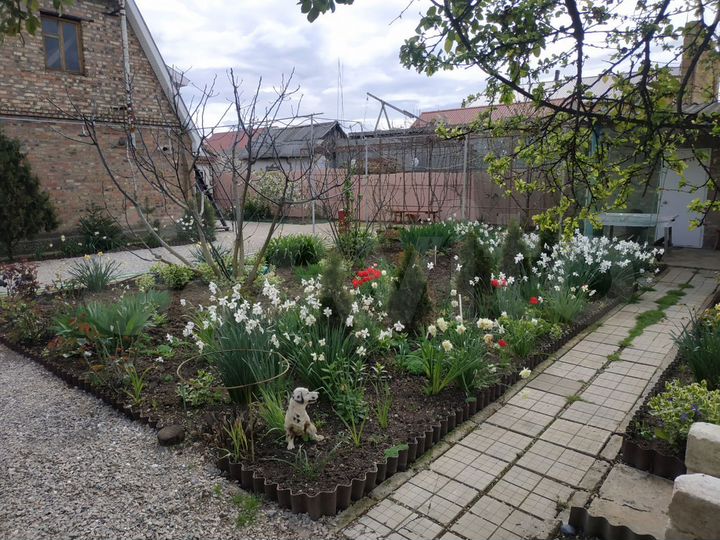 Дом 85 м² на участке 7 сот.