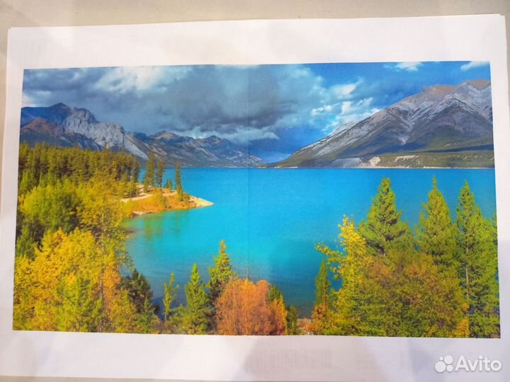 Принтер Epson L800