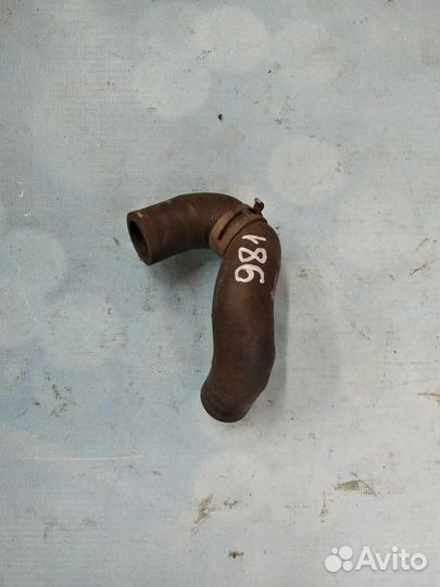 Патрубок охлаждения 7l0815981