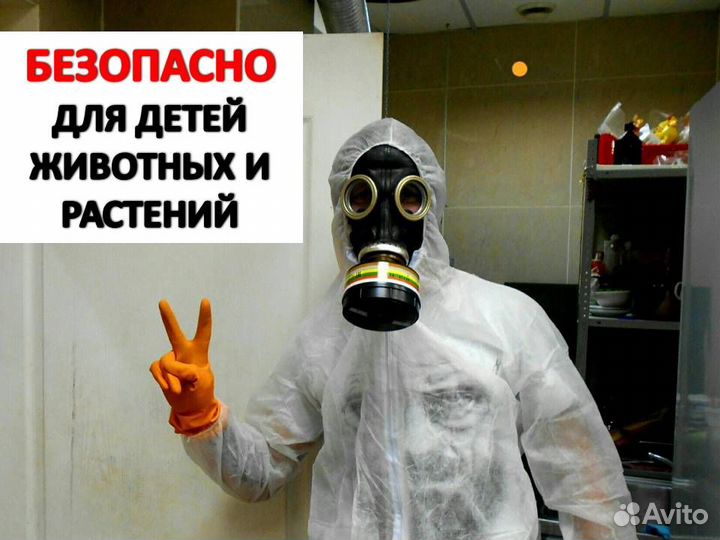 Уничтожение тараканов клопов мышей. Дезинфекция