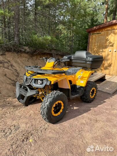 Аренда квадроцикла