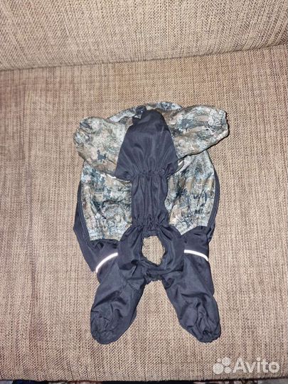 Одежда для собак