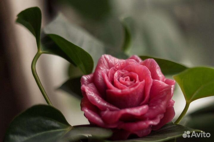 Мыло роза георгин