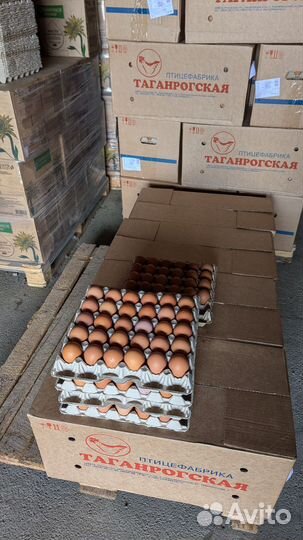 Яйца куриные пищевые