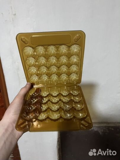 Ячейки для перепелиных яиц