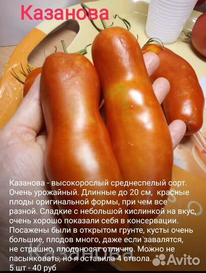 Помидоры семена