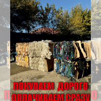 Прием картона макулатуры, Дербент