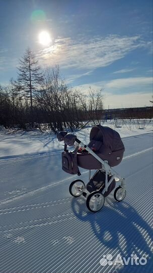 Коляска adamex 3 в 1