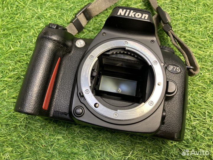 Nikon F75