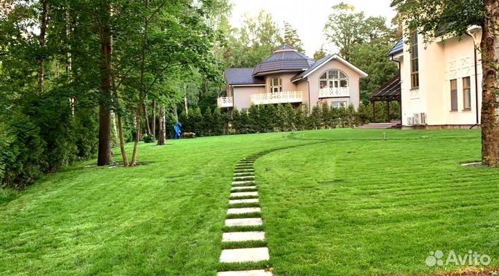 Рулонный газон от производителя